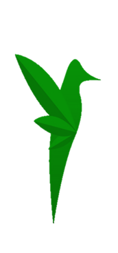 Participante Cannagro